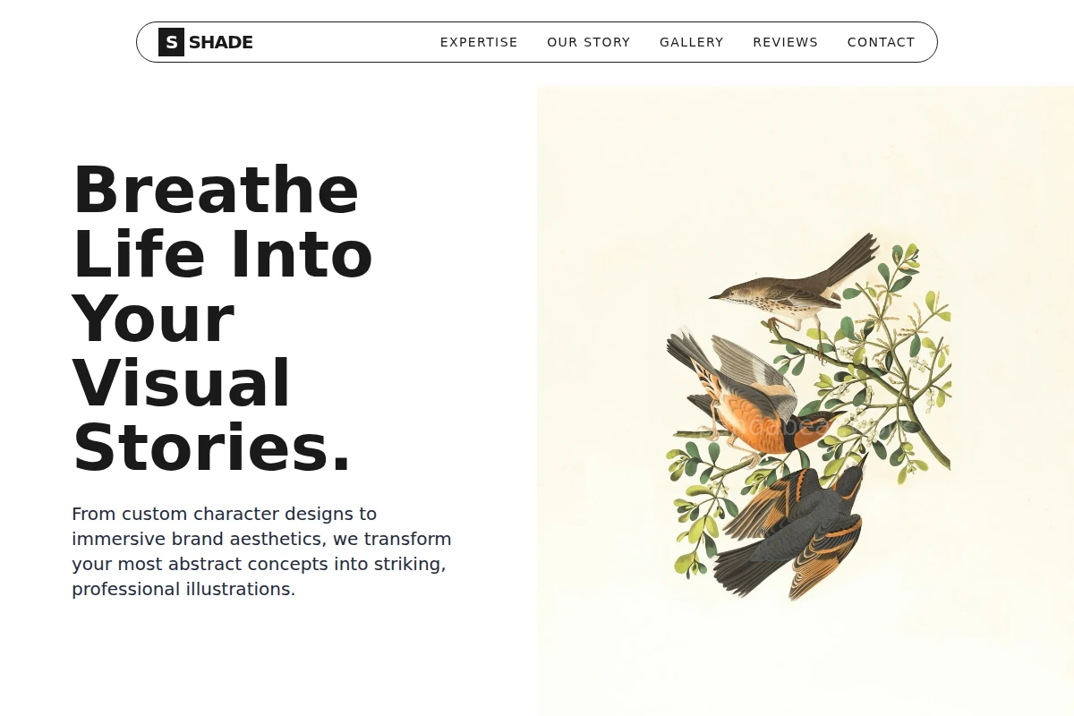 Shade Illustration